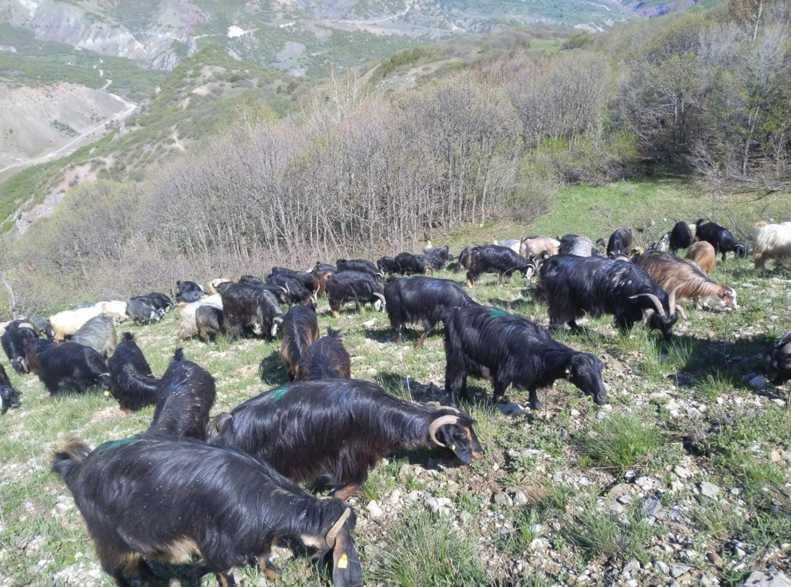 Askireg Hotel Tunceli Екстер'єр фото