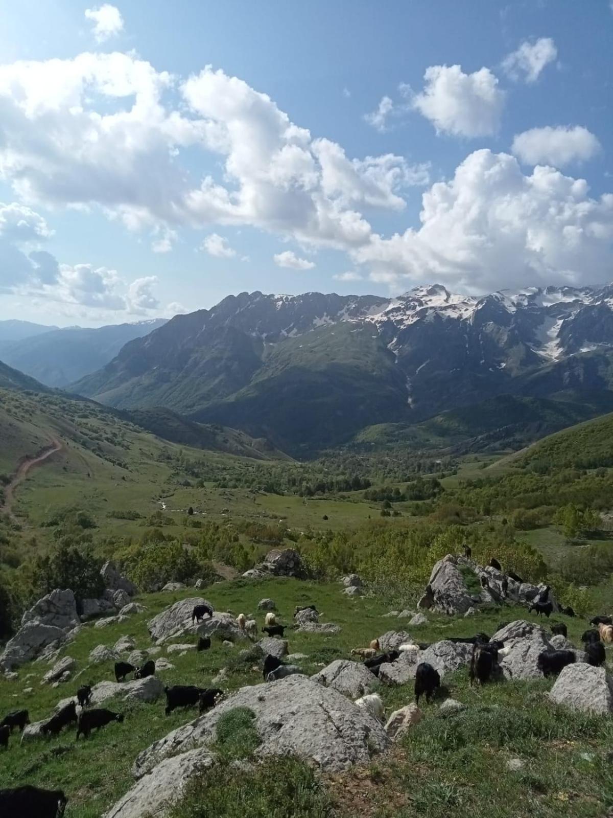 Askireg Hotel Tunceli Екстер'єр фото